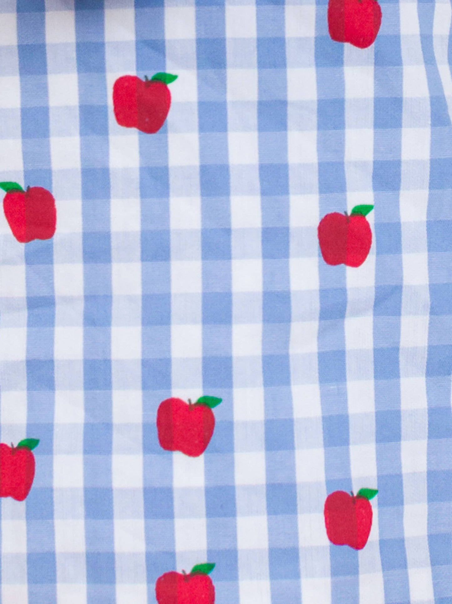 Baby Girls Apple Orchard Classic Gingham Ruffle Swing Top and Bloomer Set
: Blue / 12-18m
